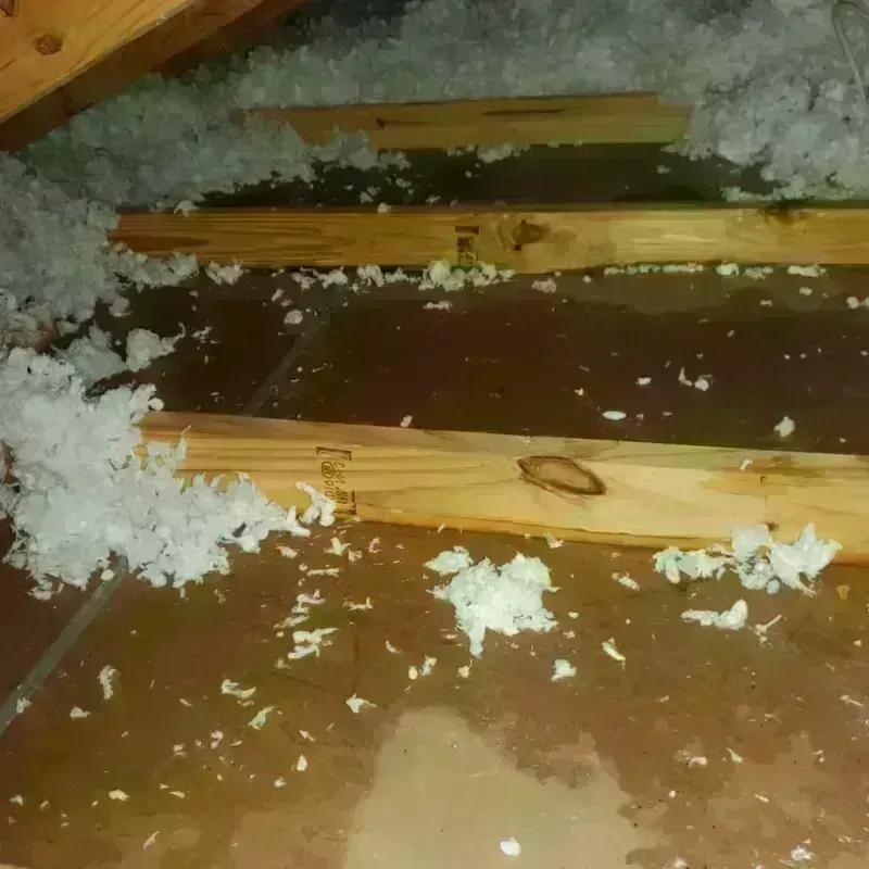 Attic Water Damage in Morganton, NC